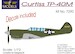 Curtiss TP40M lf7290