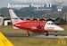 BAe JetStream Super 31 (Life Flight) SVM-72053