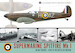 Supermarine Spitfire Mk1, in RAF service 1936 - Battle of Britain 