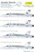 F18 Hornet (75sq and 77sq RAAF) AUS48013