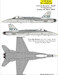F18 Hornet (77sq RAAF Avalon Air Show 2007 special markings) AUS48013A