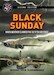 Black Sunday. When Weather claimed the US Fifth Air Force. Second Edition 