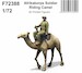 Afrika Corps Soldier riding Camel CMK-f72388