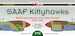 SAAF Kittyhawks, SAAF Squadrons over the western Desert 1942-1943 DK72082