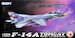 Grumman F14A Tomcat L7206