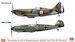 Dewoitine D520 & BF109E "Battle of France" HAS-02332
