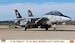 F14B Tomcat "VF103 Jolly Rogers' Last flight 2004 has-02434