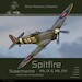 Supermarine Spitfire Mk.IX & Mk.XVI World War II thorougbred DH-C001