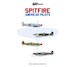 Spitfire American Pilots JBR44012