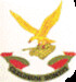 SAAF No 7sq Badge mav480007