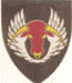 SAAF No 16sq Badge mav480016