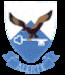 SAAF TFDC Badge mav480100