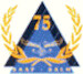 SAAF 75 Year Badge mav480101