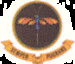 SAAF No 3sq Badge mav720003