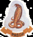 SAAF No 6sq Badge mav720006
