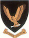 SAAF No 86sq MEFS Badge mav720086
