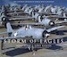 Storm of Eagles, the greatest Aviation Photographs of World  war II 