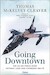 Going downtown, The US Air Force over Vietnam, Laos and Cambodia 1961-1975 