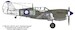 P40N Kittyhawk (RAAF 78sq "Noemfoer") RRD4809