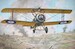 Sopwith TF1 Camel "Trench Fighter" rod72052