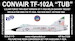 Convair TF102A 'Tub" (509FIS USAF) (For Hasegawa) RVHC7239