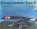 Morane Saulnier Type A1 SPIN48006
