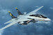 F14D Tomcat TR03919