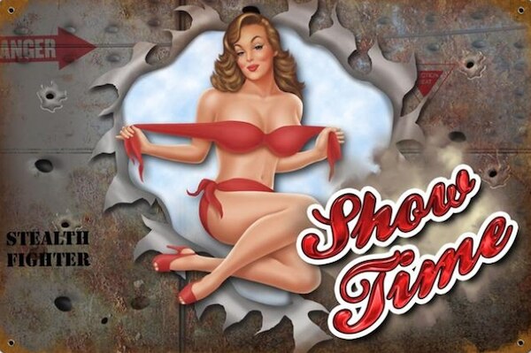 Show Time - pin up metal poster metal sign  V4-SHOW TIME