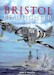 Bristol Beaufighter The Full Story 