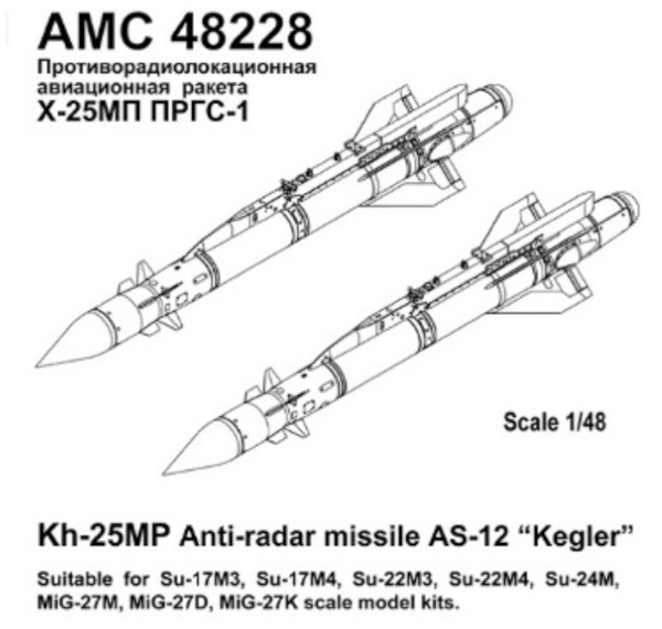 Kh-25MP Anti radar Missile PRGS1 (AS12 Kegler) (2)  AMC48228