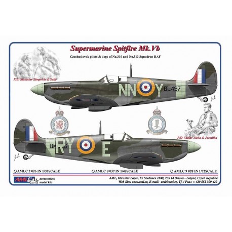 Supermarine Spitfire MKVb (Czechoslovak pilots & Dogs of 310 and 313sq RAF)  AMLC48-037