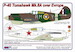 Curtiss P-40 Tomahawk Mk.IIA over Europe (2x decal options) AMLC9-004