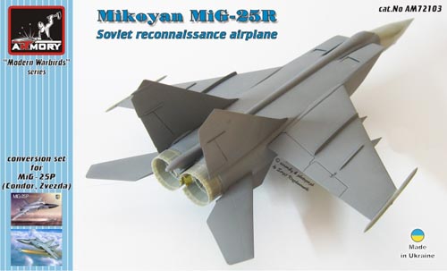 Mikoyan MiG25R Foxbat Soviet Recce airplane (Condor/Zvezda Mig25P)  AR AM72103
