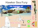 Hawker Sea Fury T MK61 Twoseater (Pakistan AF) Differend 2 seat configutation AMG48608