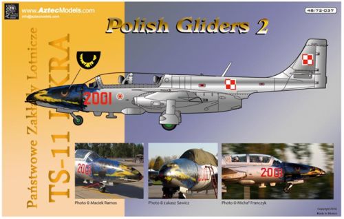 Polish Gliders Part 2; TS11  AZT72037
