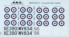 Colourful Sea Hawks  BMD72018