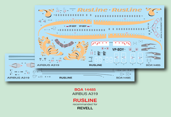 Airbus A319 (Rusline)  boa14485