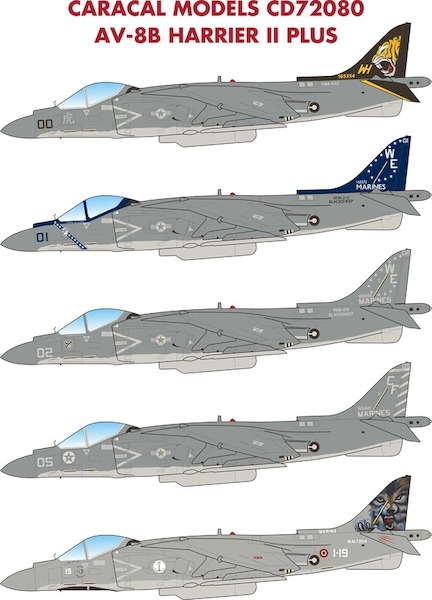 AV8B Harrier IIB  CD72080