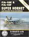 F/A18E & F/A18F Super Hornet in Detail & Scale (Also includes the EA18G Growler) DS-9
