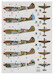 Kittyhawk MKIV in RAF, RAAF and SAAF squadrons over Italy 1944-1945 (6 camouflage Schemes)  DK32021