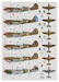 Kittyhawk MKIV in RAF, RAAF and SAAF squadrons over Italy 1944-1945 (6 camouflage Schemes)  DK48042