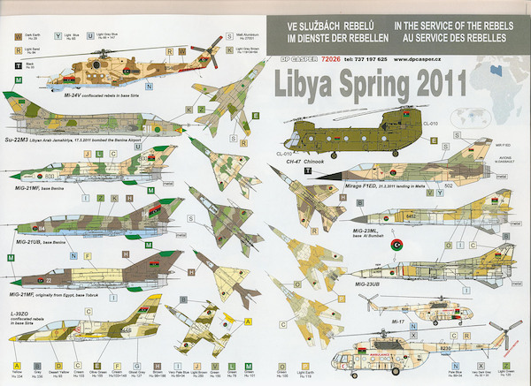 In the service of the rebels: Lybia Spring 2011  DPC72026