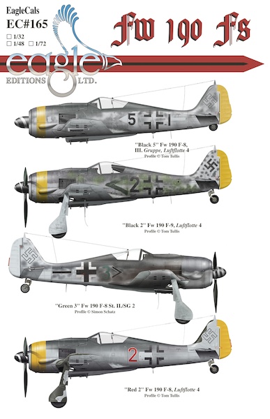 Focke Wulf Fw190F's  EC-48-165