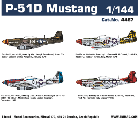 P51D Mustang (1 kit included)  4467