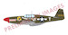 North American P51B Mustang - Royal Class  - Two kits included  R0019