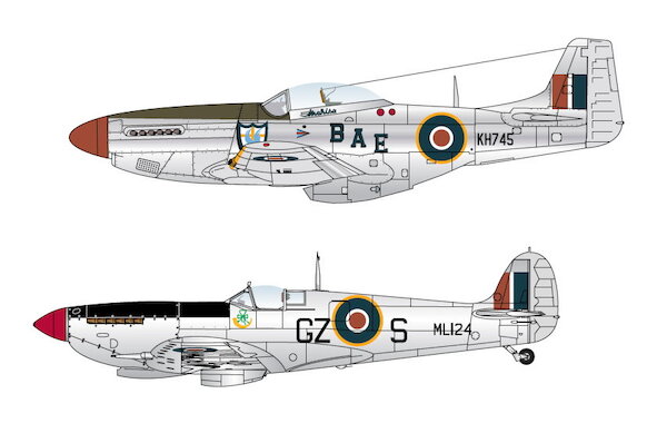 Silver merlins, Spitfire and Mustang in Commonwealth service  FSD32-003