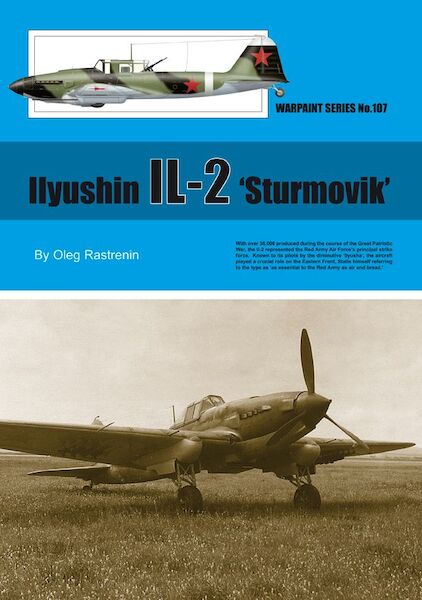 Ilyushin IL2 Sturmovik  ws-107