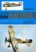 Gloster Gladiator WS-37
