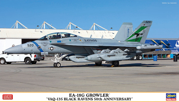 EA18G Growler "VAQ135 Black Ravens 50th Anniversary"  02351