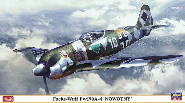 Focke Wulf FW190A-4 "Nowotny"  07506